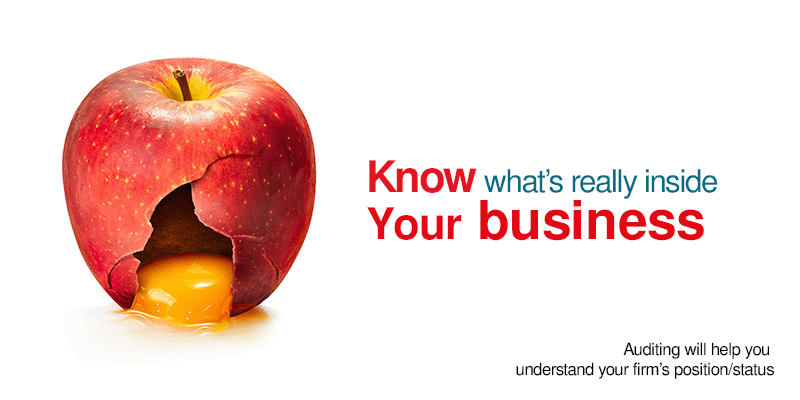 Auditas auditing insights